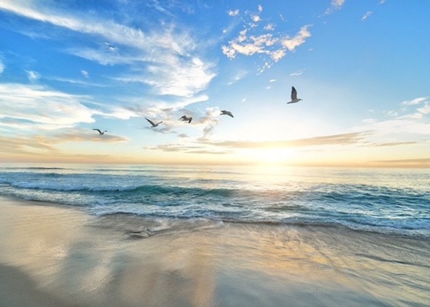 Image for article مراعاة الآخرين دائمًا