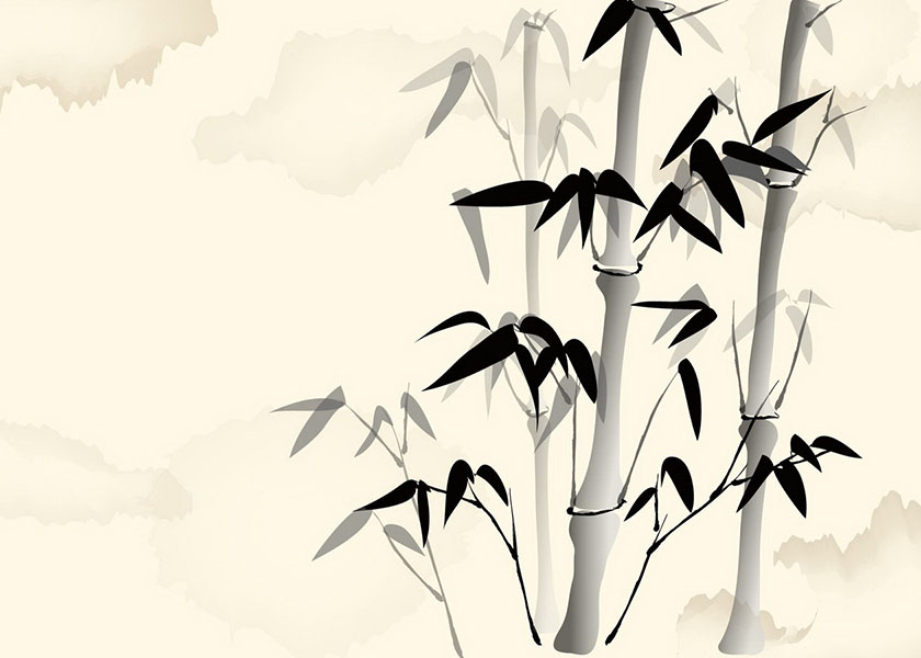 Image for article أخبار متأخّرة: وفاة مُدرّسة مصابة بالسرطان، تعرّضت للتعذيب المتكرّر أثناء احتجازها بسبب معتقداتها الدينيّة، عام ٢٠٠٨