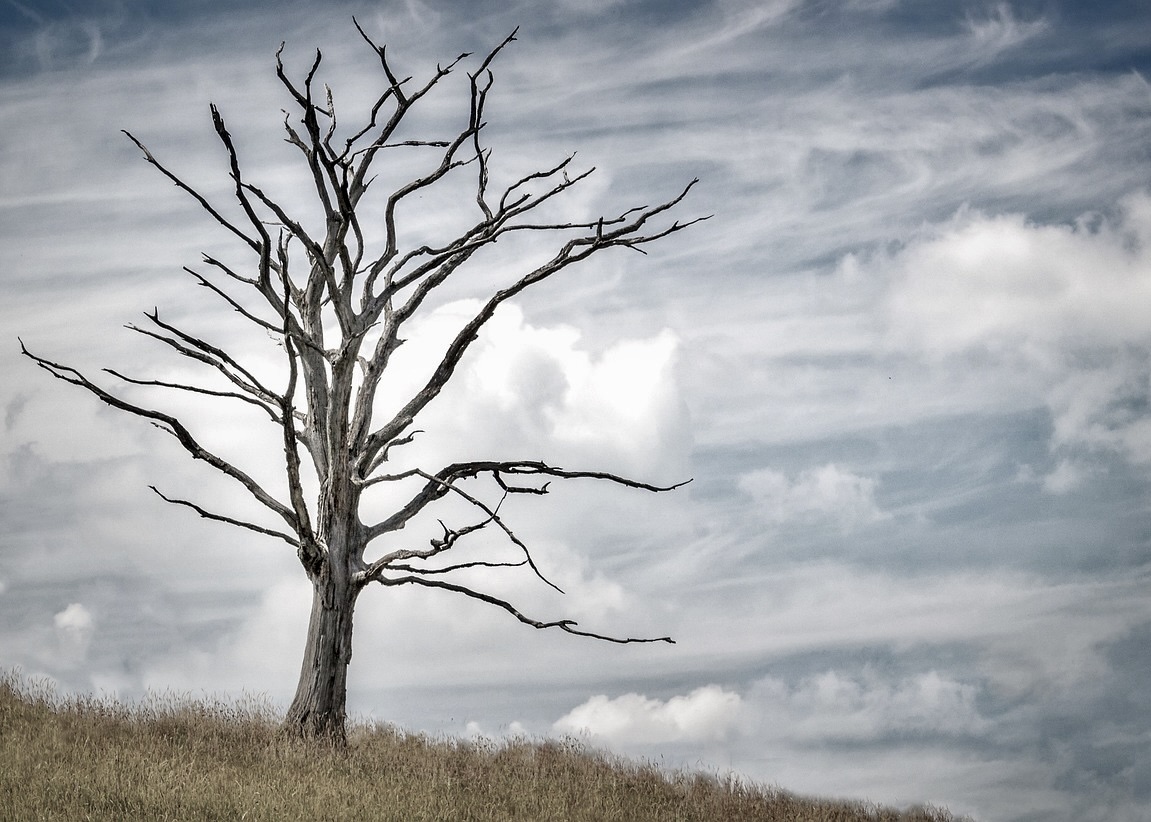 Image for article طبيبة توليد سابقة تقضي عقوبة سجن ثالثة بسبب إيمانها بالفالون غونغ، وتفقد القدرة على تمييز الأشخاص بعد حقنها بموادّ مجهولة