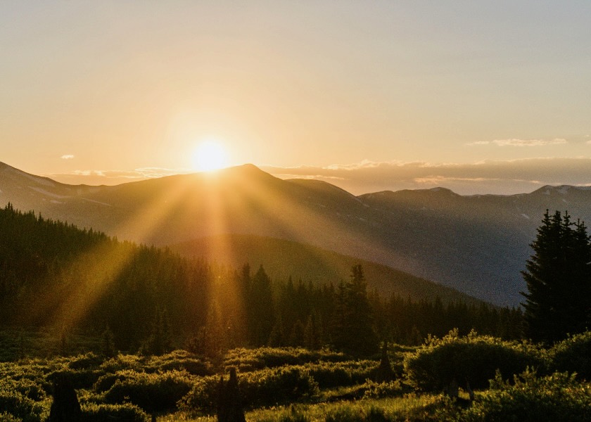 Image for article عندما لا يجدي شيء نفعًا، ينبغي أن نعتمد على ضميرنا