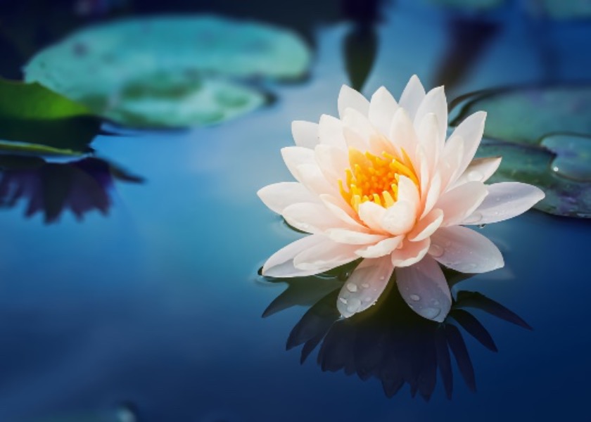 Image for article قصّتي في إعادة مبلغ مالي إضافي دُفع لي بالخطأ