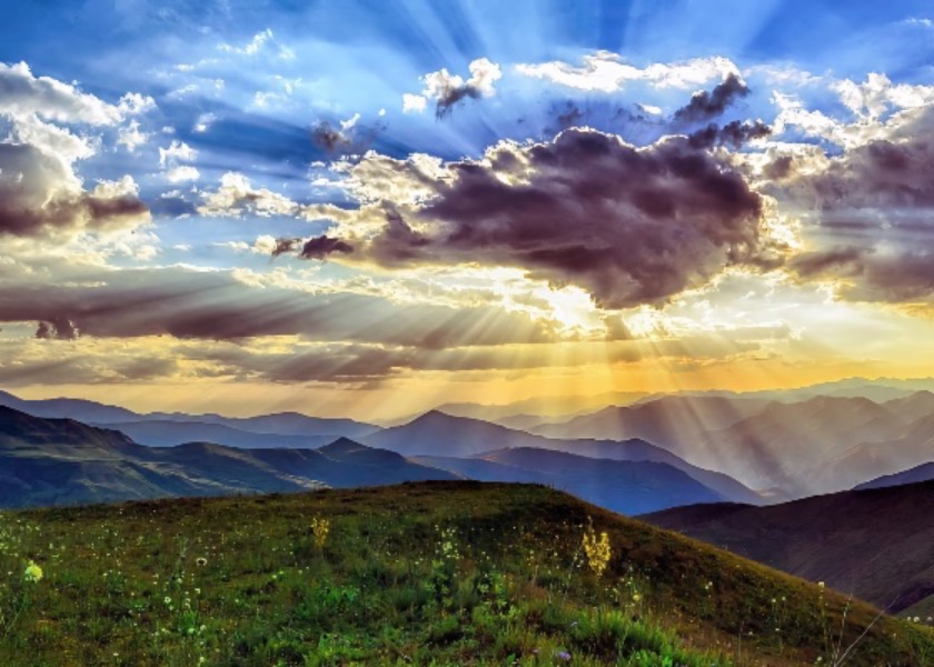 Image for article تجارب التعهّد المعجزة لزوجين في التسعينات من عمرهما