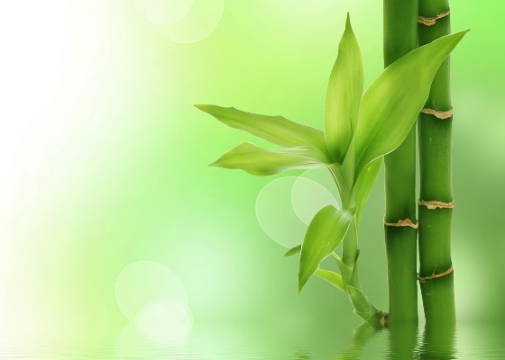 Image for article دافا تمنحني فرصة ثانية للحياة